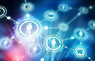 智慧泰达，建设进行时 开发区智慧城市规划框架初现，互联网接入与服务筑基未来